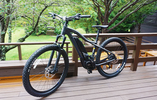 e-Bike (Bicycle with electric assist)