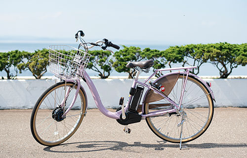Standard City Bike (Bicycle with electric assist)
