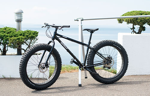 Fat Bike