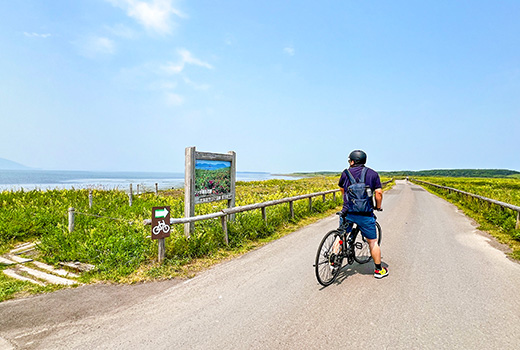 E-バイク（電動アシスト付き自転車）