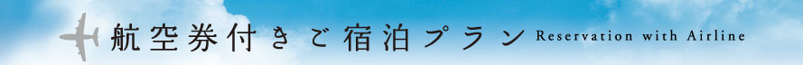 航空券付ご宿泊プラン