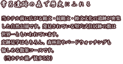[常呂遺跡の森で歴史にふれる]当ホテル前に広がる縄文・続縄文・擦文文化の遺跡が密集した自然公園です。発見されている堅穴式住居跡の数は世界一ともいわれています。史跡見学はもちろん、森林浴やバードウォッチングも愉しめる散策コースです。（当ホテル前／徒歩5分）