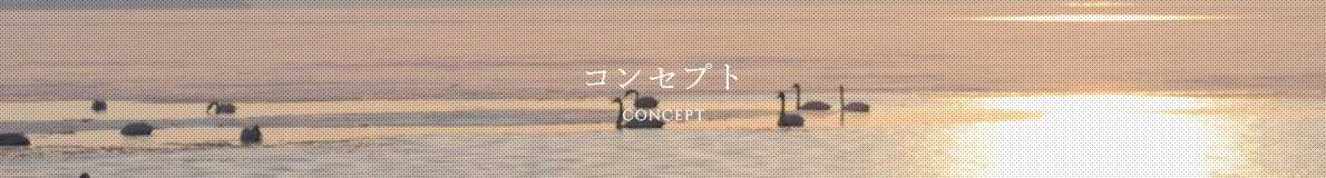 コンセプト